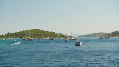 A large group of charter boats, including sailing catamarans and traditional gulets, are anchored in a beautiful bay. This popular yachting destination in Croatia is a busy marine anchorage.