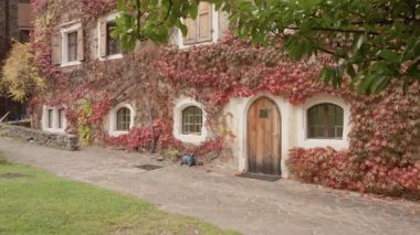 Kızıl Virginia sarmaşığı yaprakları, ortaçağ binasının taş cephesini kemerli ahşap kapılarla kaplıyor. Sonbahar bahçesinde kepenkleri kapalı ve asfalt yolu olan tarihi evin dışı..