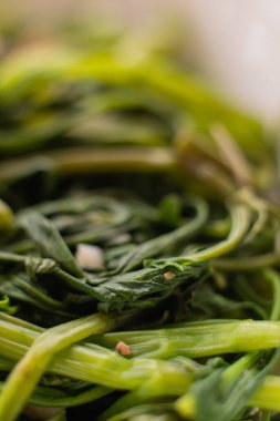 Yakın, kızarmış yeşil sabah zaferi.