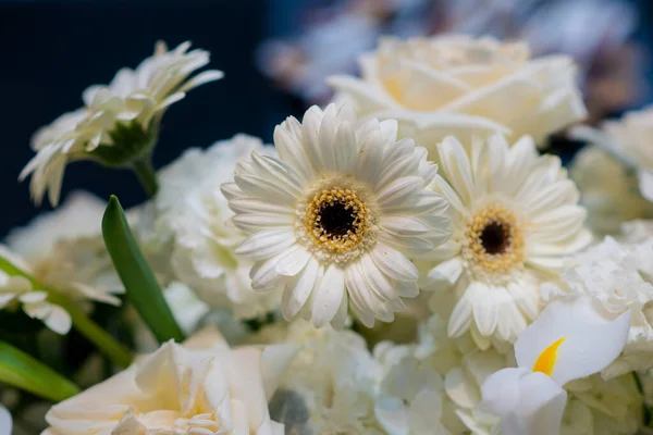 Bunch Beautiful Delicate Pastel Flowers — Stock Photo, Image