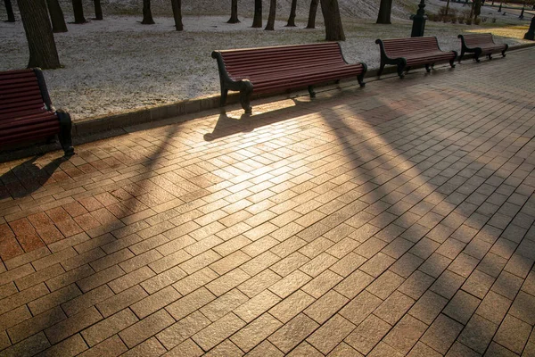 Parktaki bankta, kışın sabah ışıklarıyla... 