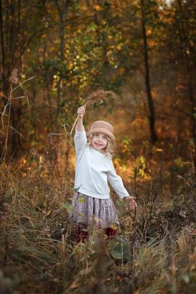 散歩中の秋の森の5人の女の子 — ストック写真
