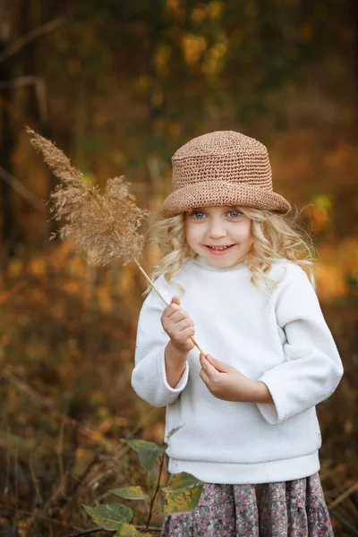 秋に森の中の帽子をかぶった5歳の女の子 — ストック写真