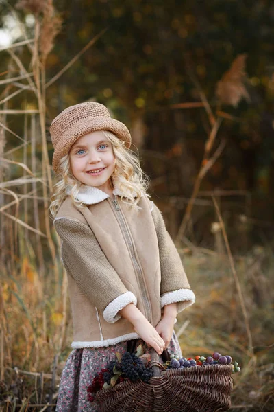 Ragazza Con Cesto Bacche Autunno Una Passeggiata — Foto Stock