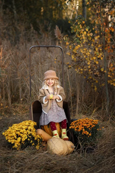 Ragazza Anni Con Zucca Autunno — Foto Stock