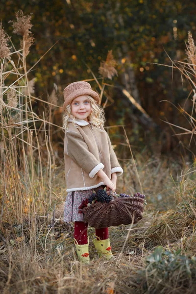 Lány Egy Kosár Bogyóval Erdőben Ősszel — Stock Fotó