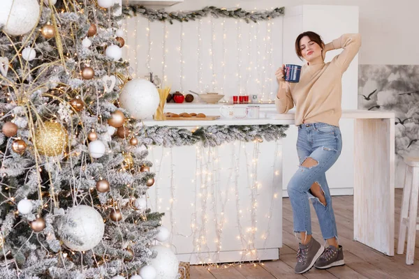 Modelo Cozinha Natal Humor Ano Novo — Fotografia de Stock