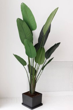 Beyaz bir duvarda ev yapımı bir saksı.