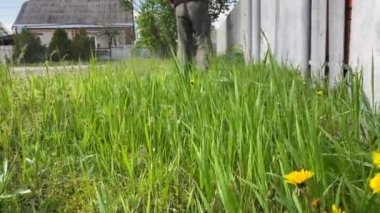 Adamın biri evin yanında çim biçme makinesiyle taze çim biçiyor.