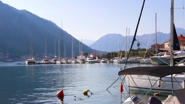 Yacht Nel Porto Kotor Montenegro Baia Kotor 2021 — Video Stock