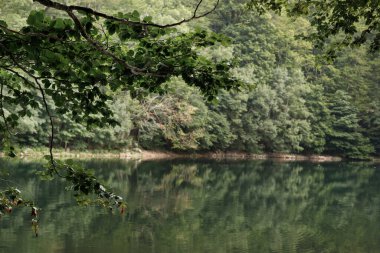 Dağ yeşili göl Suyun kenarındaki ağaçlar. Rahatlama ve sıcaklık