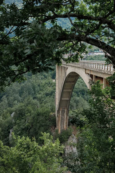 Arched Bridge Mountains Side View Trees — Stock Photo, Image