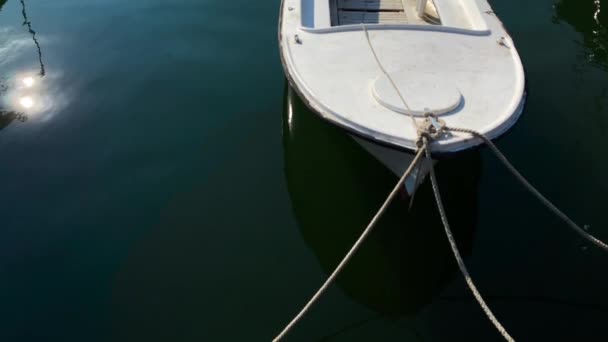 白い漁船が係留され水面に揺れ — ストック動画