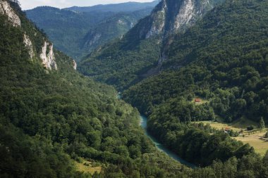 Yeşil dağların manzarası ve yukarıdaki dağ nehri..