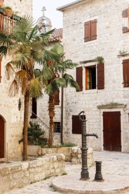 Eski kasabadaki eski binalar ve egzotik palmiye ağaçları