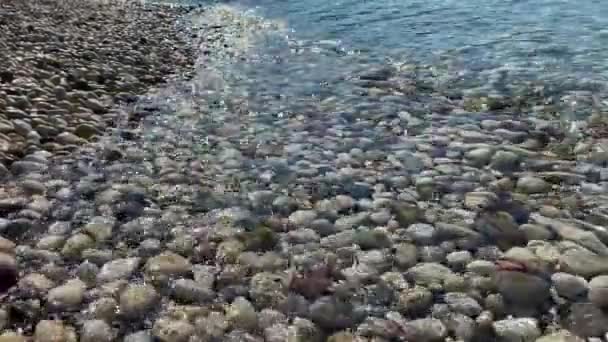 Claro Agua Mar Clara Una Playa Guijarros Mar Adriático — Vídeos de Stock