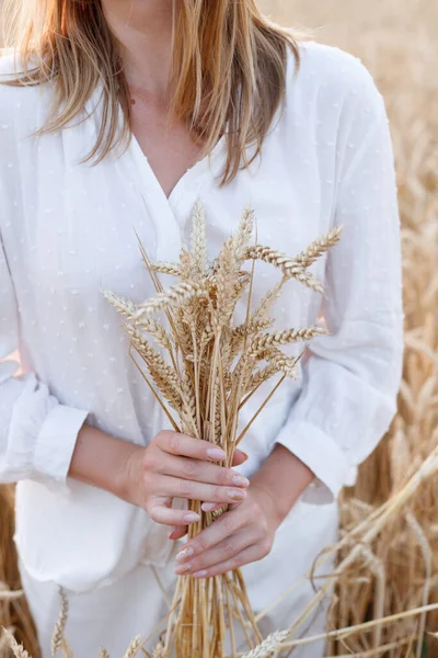 mature yellow wheat in the hands of a girl at sunset in the summer. close-up