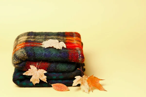 Sarı sonbahar yapraklı sarı arka planda yünlü eşarp.