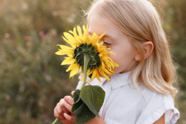 Küçük bir kız ayçiçeğini kokluyor. yakın plan