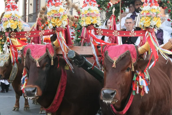 St. Efisio Festivali. Cagliary, Sardegna, İtalya.