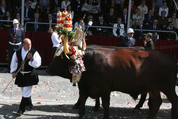 St. Efisio Festivali. Cagliary, Sardegna, İtalya.