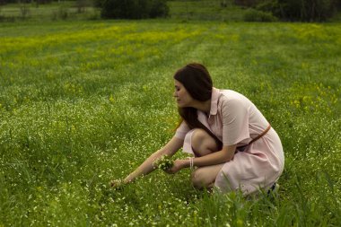 Elbiseli bir kız çiçek topluyor. Sahadaki bir kız çiçek topluyor. Kız hasatı topluyor. Kız şifalı bitkiler topluyor..