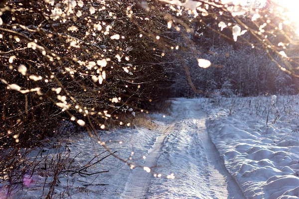 冬季公路穿过白雪覆盖的树枝 神奇的冬季之路穿过森林 雪地上结冰的树枝 — 图库照片