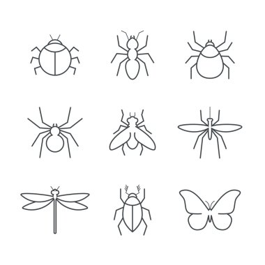 Böcek basit vektör Icon set