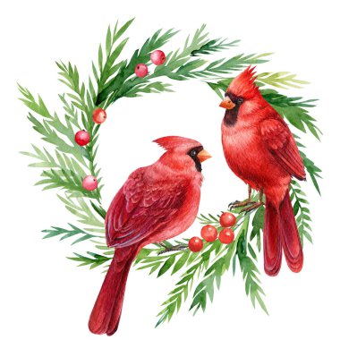 Kızıl Kardinal, beyaz arka planda kuşlu Noel çelengi, suluboya çizimler.