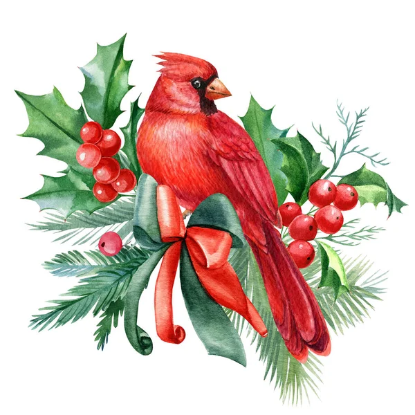 Kırmızı kuşlar ve kutsal yapraklar, beyaz arka planda ladin dalları suluboya çizimleri. Noel kompozisyonu. 