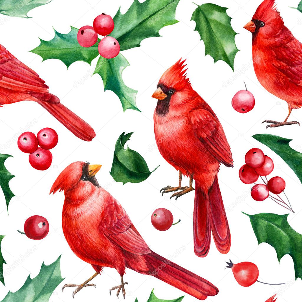 Red cardinal birds, Seamless pattern, Christmas holly leaves and berries, watercolor hand drawn illustration