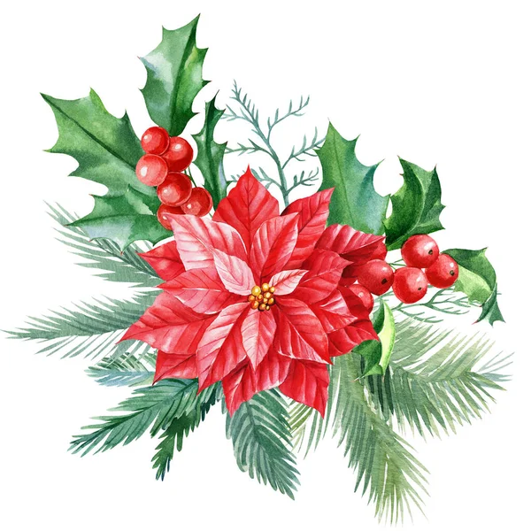 Christmas composition, holly leaves and berries, spruce branches, watercolor illustration