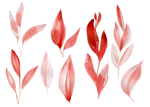 Set von Vintage-Blättern auf weißem Hintergrund, Aquarell-Illustration, florales Design — Stockfoto