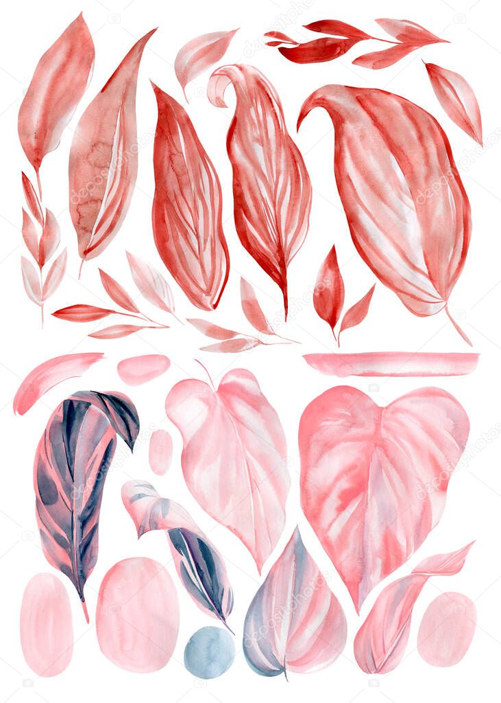 Abstract tropical leaves on white background, watercolor illustration, pink leaf, hand drawing floral design 