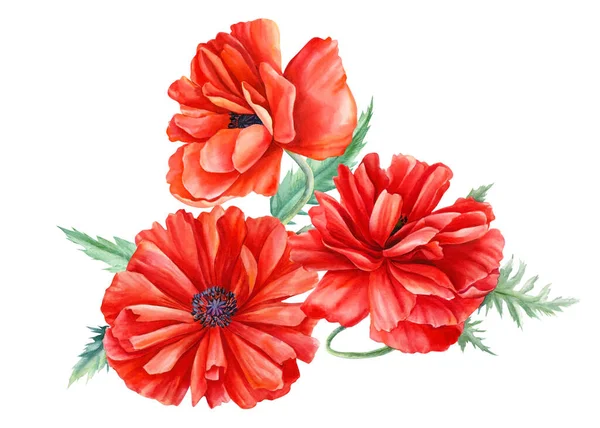 Beautiful bouquet of red poppies flowers on isolated background, watercolor illustration — Stock Photo, Image