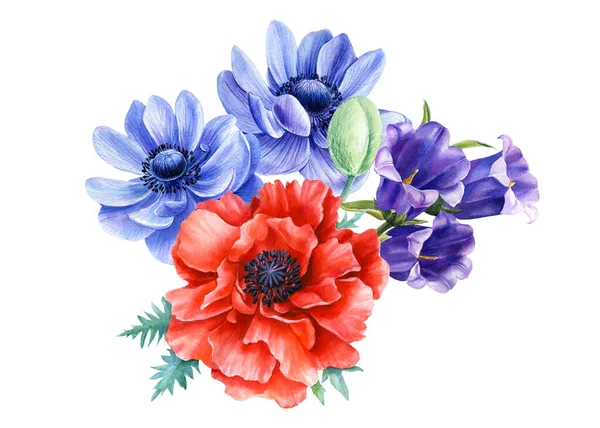 Set di papaveri rossi e anemoni blu, fiori campana su sfondo isolato, illustrazione ad acquerello — Foto Stock