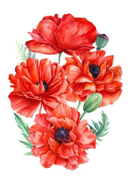 Beautiful bouquet of red poppies flowers on isolated background, watercolor illustration — Stock Photo, Image