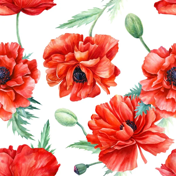 Modello senza soluzione di continuità di fiori papaveri rossi su sfondo isolato, illustrazione ad acquerello — Foto Stock