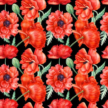 Suluboya çizimi. İzole edilmiş arka planda kırmızı gelincik çiçeklerinin kusursuz deseni