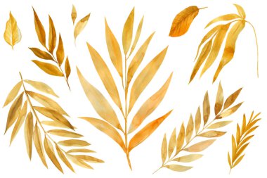 İzole edilmiş beyaz arkaplanda sarı yapraklar, suluboya resim, soyut sonbahar yaprakları.