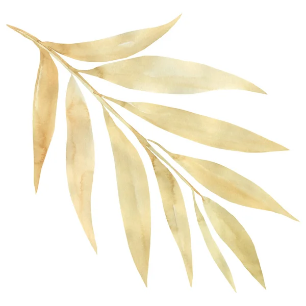 Torra blad på isolerad vit bakgrund, akvarell målning — Stockfoto