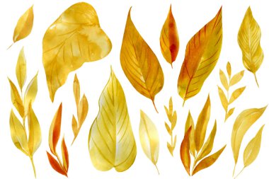 Elle boyanmış egzotik kuru yapraklar. İzole edilmiş beyaz arka planda suluboya bitkiler. Boho ögelerini ayarla