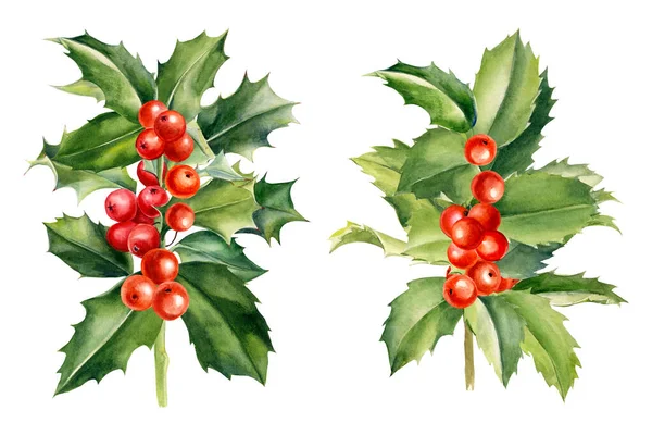 Conjunto de Natal de ramos bagas azevinho em um fundo branco, aquarela ilustração botânica, imagem vintage — Fotografia de Stock
