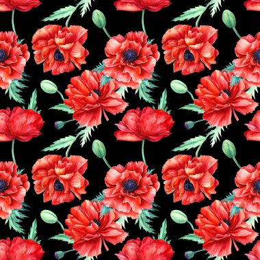 İzole edilmiş siyah arka planda kusursuz kırmızı gelincik deseni, suluboya çiçekleri 