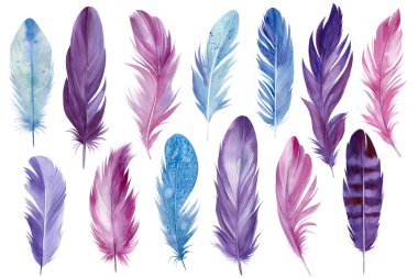 Beyaz arkaplanda tüyler, suluboya illüstrasyon, kupür defteri