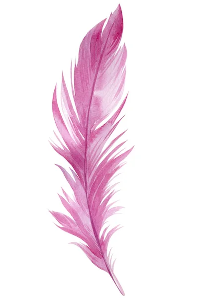 Hermosa pluma rosa sobre fondo blanco aislado, ilustración de acuarela —  Fotos de Stock