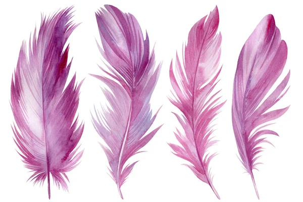 Conjunto de plumas de color rosa sobre fondo blanco aislado, ilustración acuarela, clipart scrapbooking —  Fotos de Stock