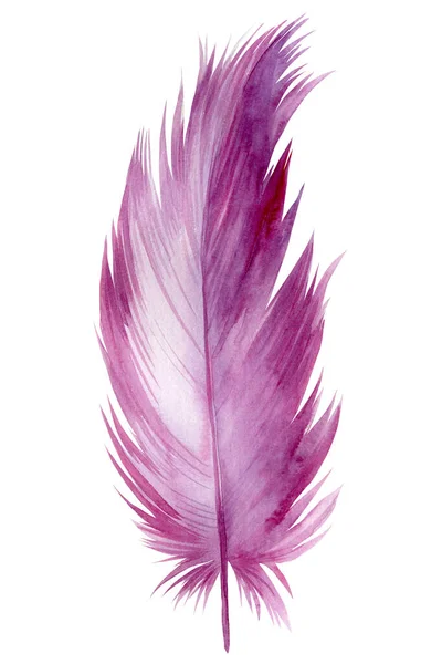 Hermosa pluma rosa sobre fondo blanco aislado, ilustración de acuarela —  Fotos de Stock