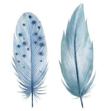 Beyaz arkaplanda mavi tüyler, suluboya illüstrasyon