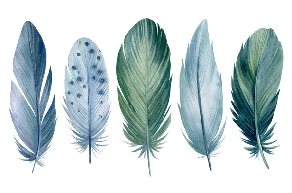 Set grüne Federn auf weißem Hintergrund, Aquarell-Illustration, Elementdesign — Stockfoto